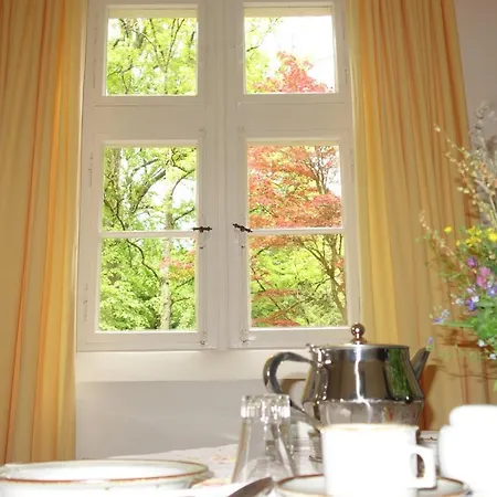 Gruenes Gold Am Leisberg