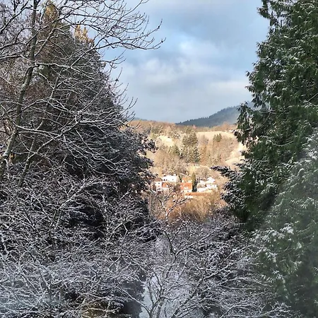 Bed & Breakfast Gruenes Gold Am Leisberg Baden-Baden