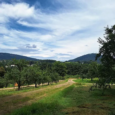 Oda ve Kahvaltı Gruenes Gold Am Leisberg 4*