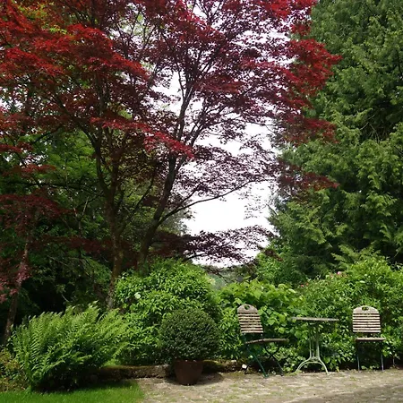 Gruenes Gold Am Leisberg バーデン＝バーデン