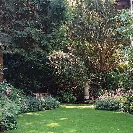 Gruenes Gold Am Leisberg Baden-Baden