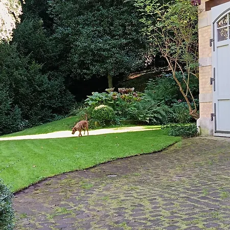 Gruenes Gold Am Leisberg Baden-Baden