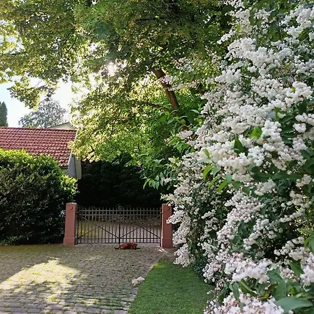Oda ve Kahvaltı Gruenes Gold Am Leisberg 4*