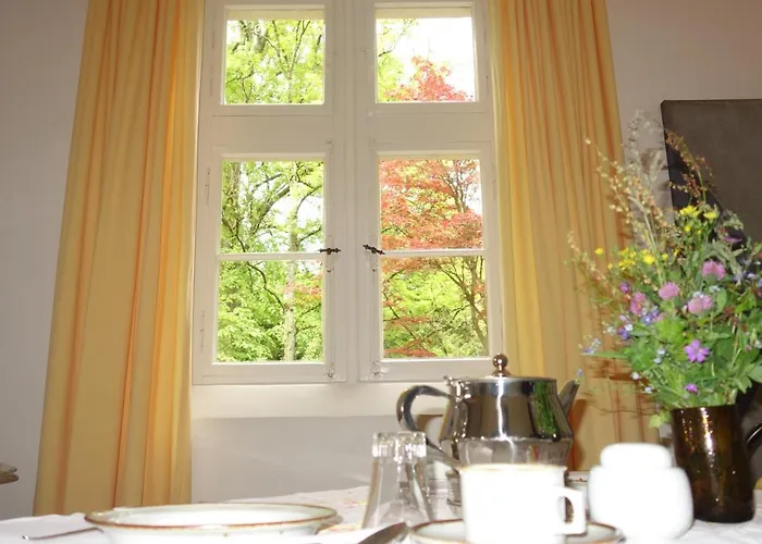 Gruenes Gold Am Leisberg