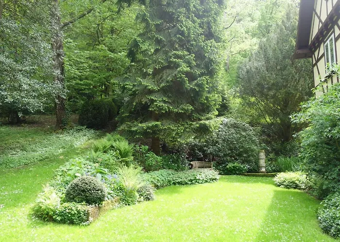 Gruenes Gold Am Leisberg Couette-café