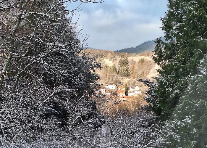 Couette-café Gruenes Gold Am Leisberg Baden-Baden