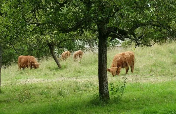 Couette-café Gruenes Gold Am Leisberg Baden-Baden