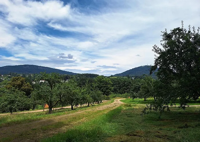 Couette-café Gruenes Gold Am Leisberg 4*